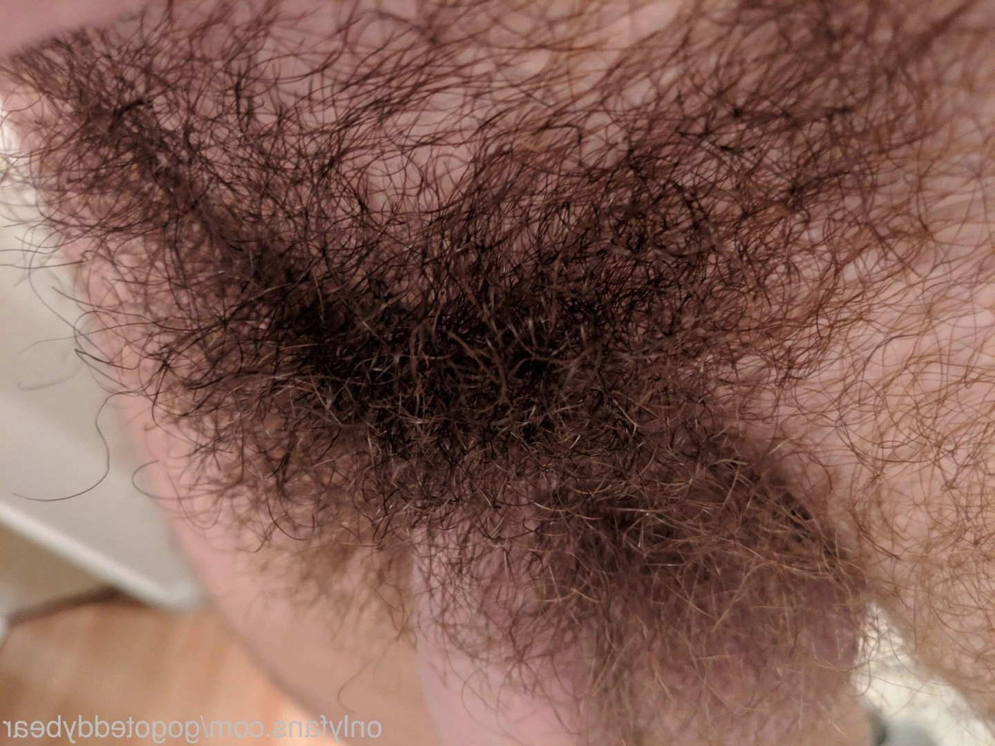 Teddy Bear [ gogoteddybear ] Onlyfans leaked photo 3347480 on Hotleaks.tv