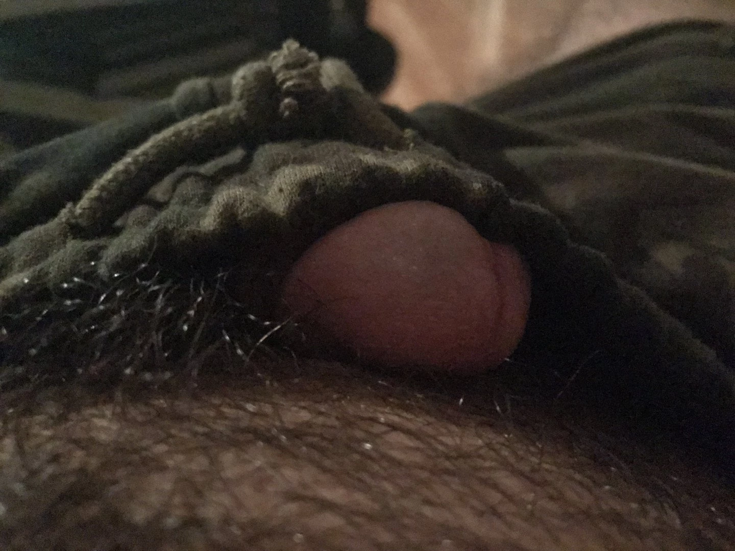 Teddy Bear [ gogoteddybear ] Onlyfans leaked photo 3348898 on Hotleaks.tv
