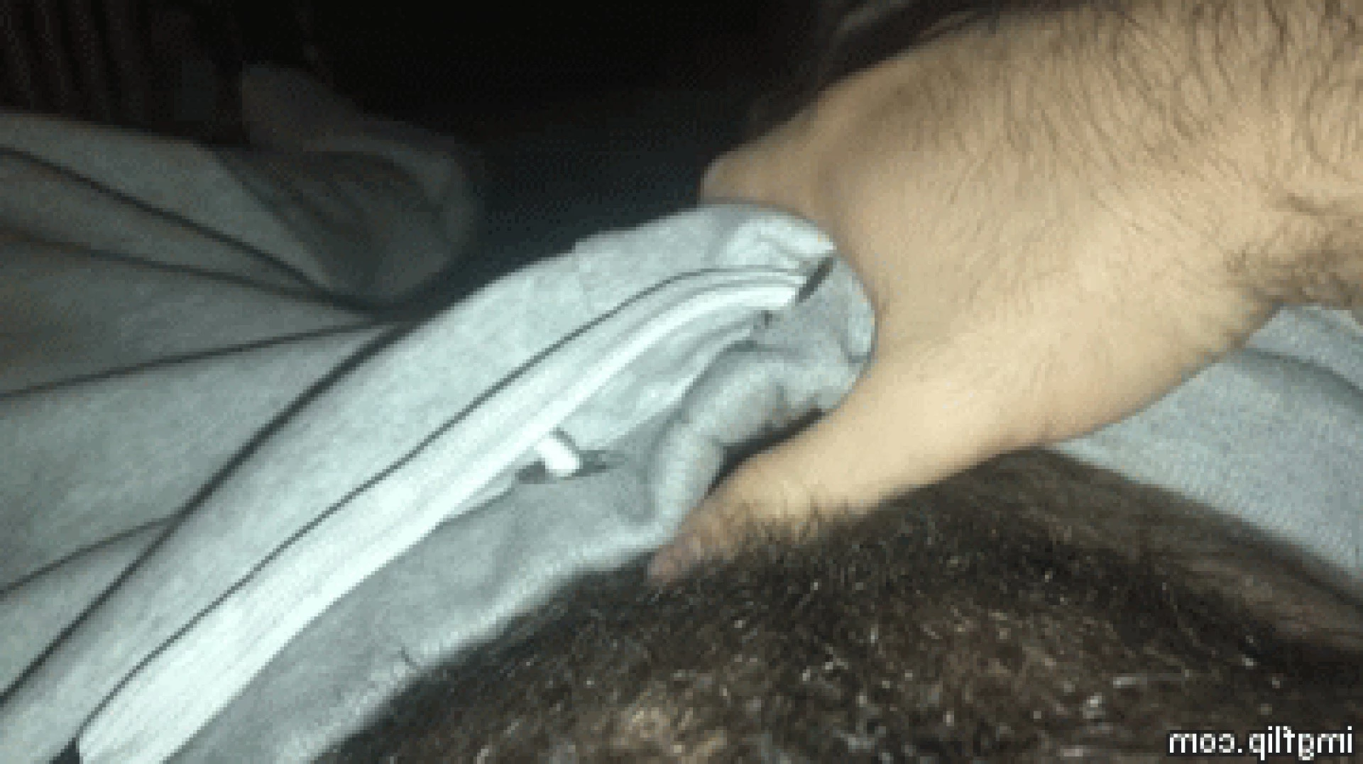 Teddy Bear [ gogoteddybear ] Onlyfans leaked photo 3349205 on Hotleaks.tv
