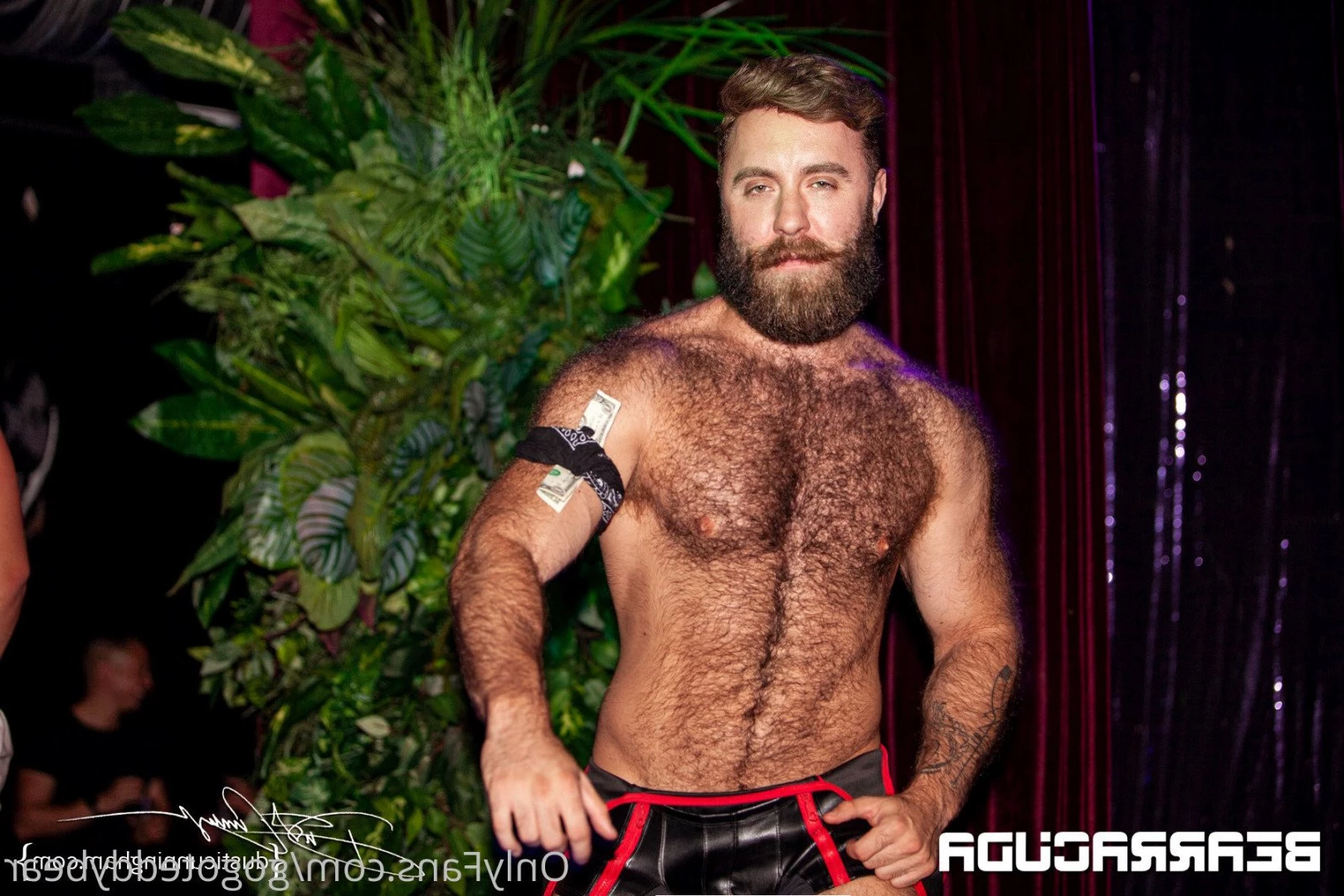 Teddy Bear [ gogoteddybear ] Onlyfans leaked photo 3350942 on Hotleaks.tv