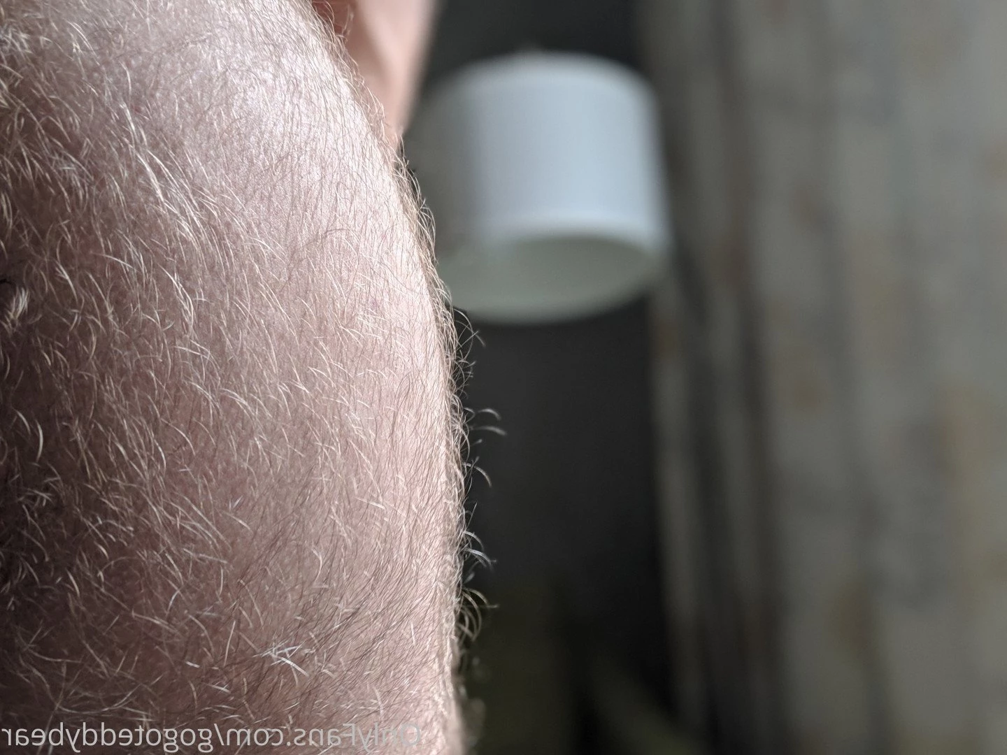 Teddy Bear [ gogoteddybear ] Onlyfans leaked photo 3351154 on Hotleaks.tv