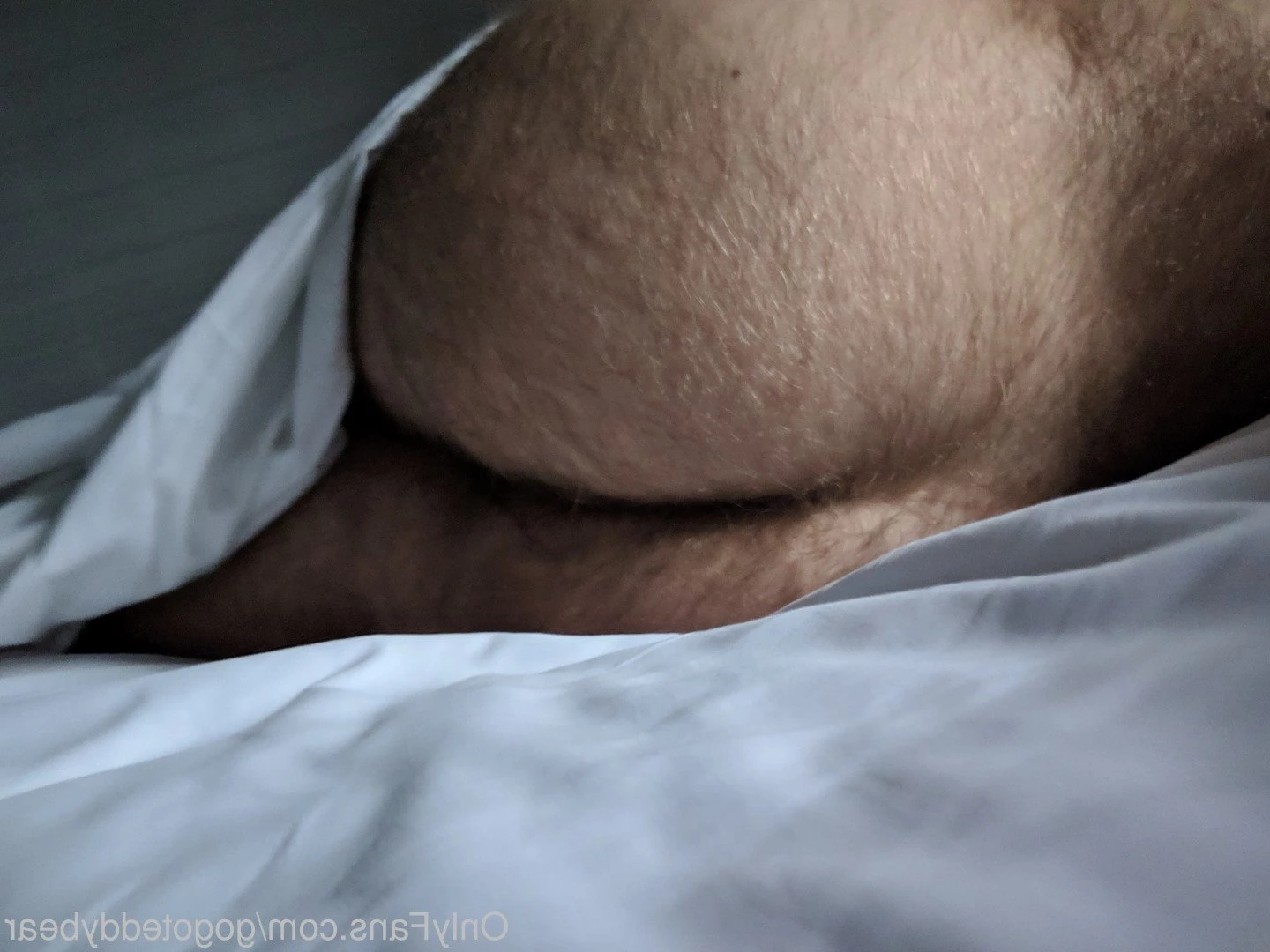 Teddy Bear [ gogoteddybear ] Onlyfans leaked photo 3352353 on Hotleaks.tv