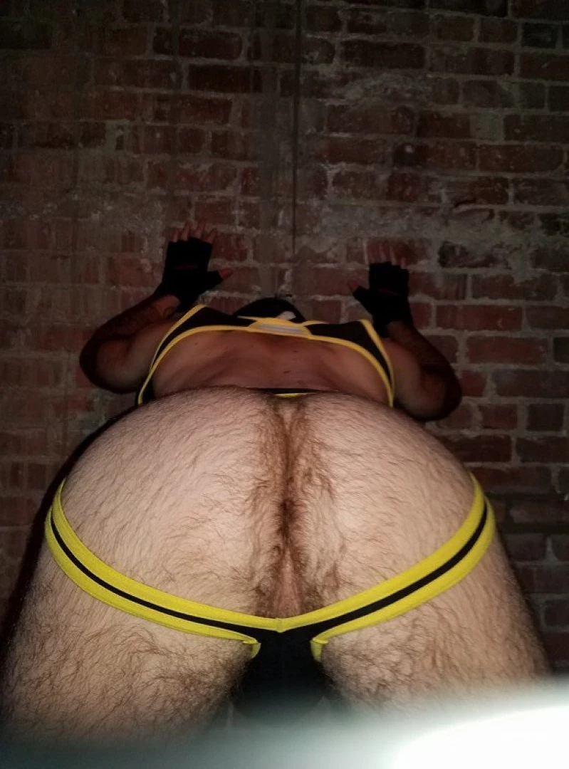Teddy Bear [ gogoteddybear ] Onlyfans leaked photo 3353340 on Hotleaks.tv
