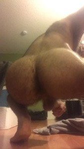 3397530