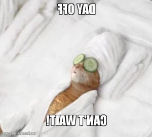 7751537