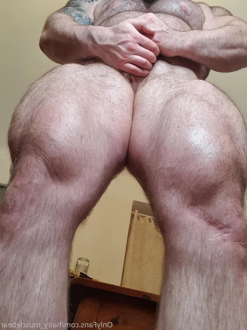Gschiel Gerald [ hairy_musclebear ] Onlyfans leaked photo 3318223 on Hotleaks.tv