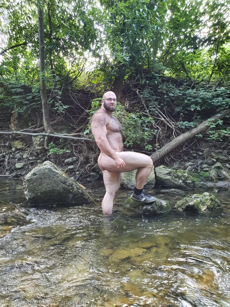 Gschiel Gerald [ hairy_musclebear ] Onlyfans leaked photo 3319288 on Hotleaks.tv