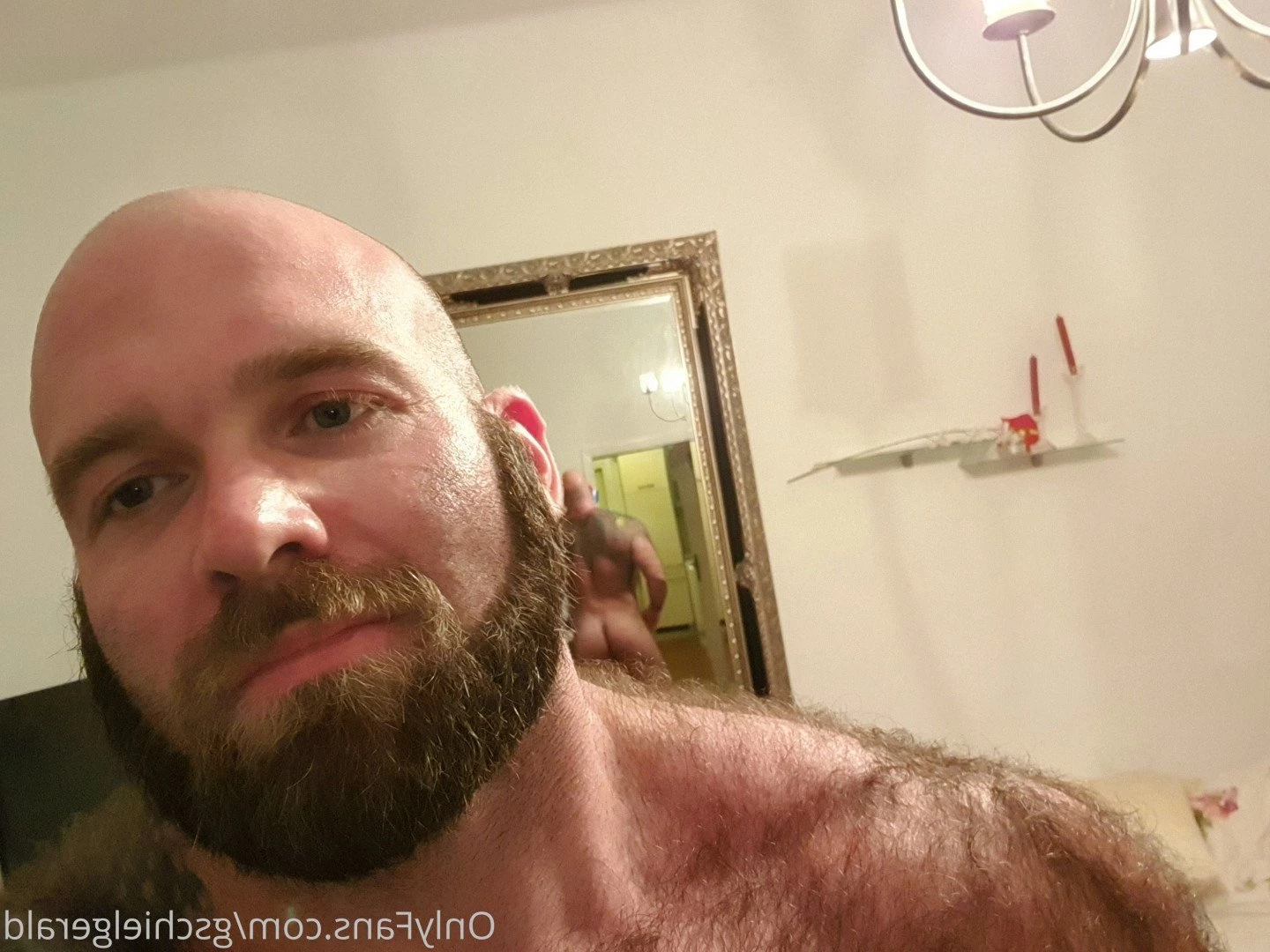 Gschiel Gerald [ hairy_musclebear ] Onlyfans leaked photo 3319608 on Hotleaks.tv