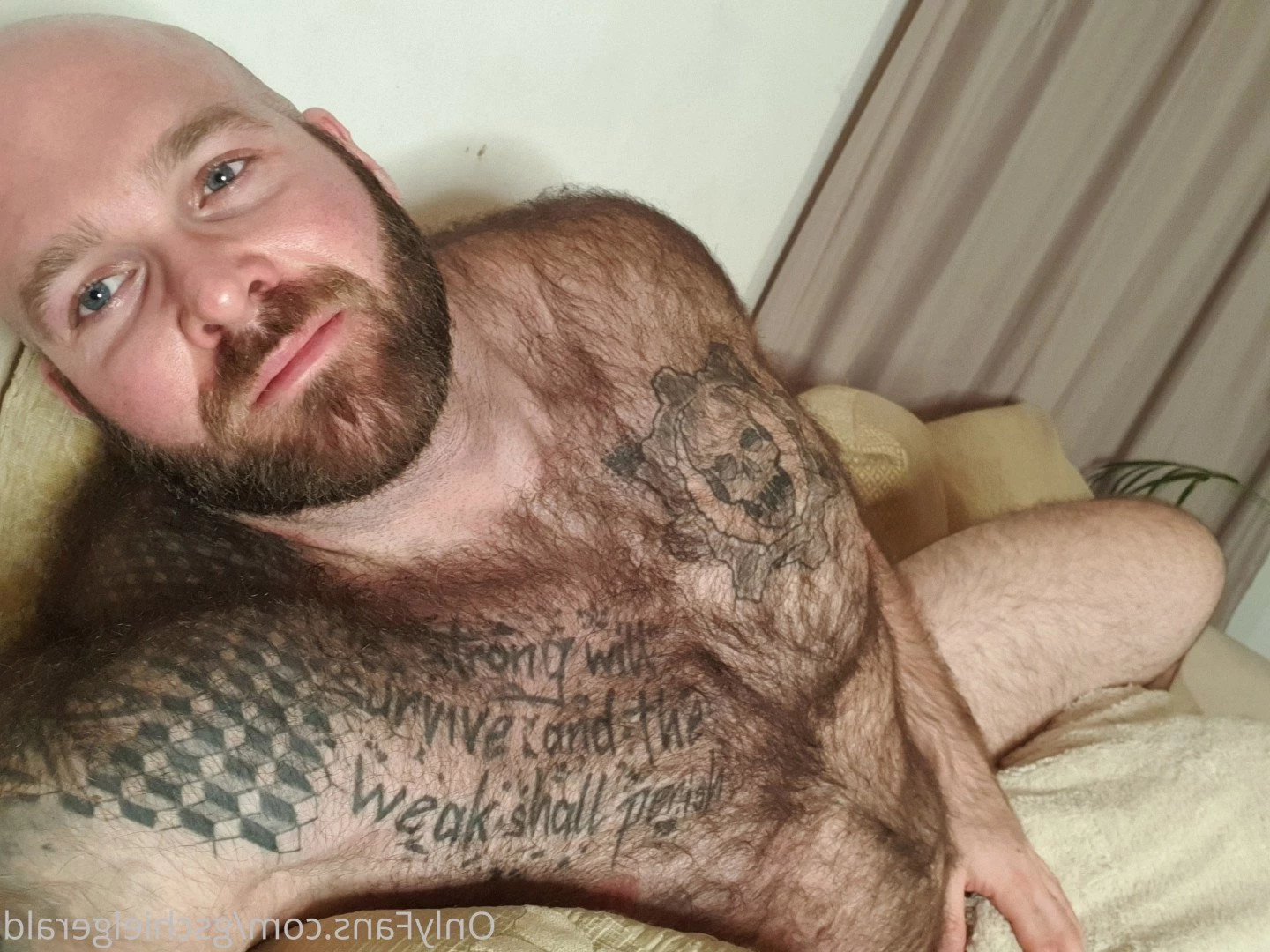 Gschiel Gerald [ hairy_musclebear ] Onlyfans leaked photo 3319629 on Hotleaks.tv
