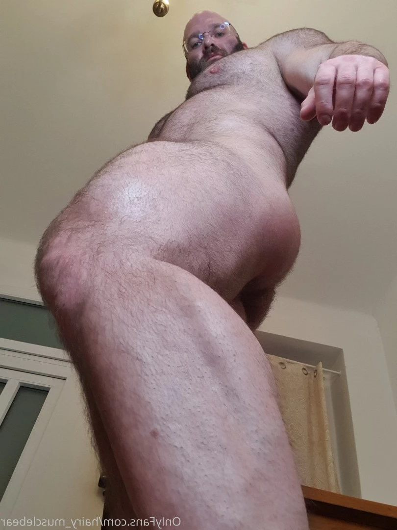 Gschiel Gerald [ hairy_musclebear ] Onlyfans leaked photo 3319768 on Hotleaks.tv