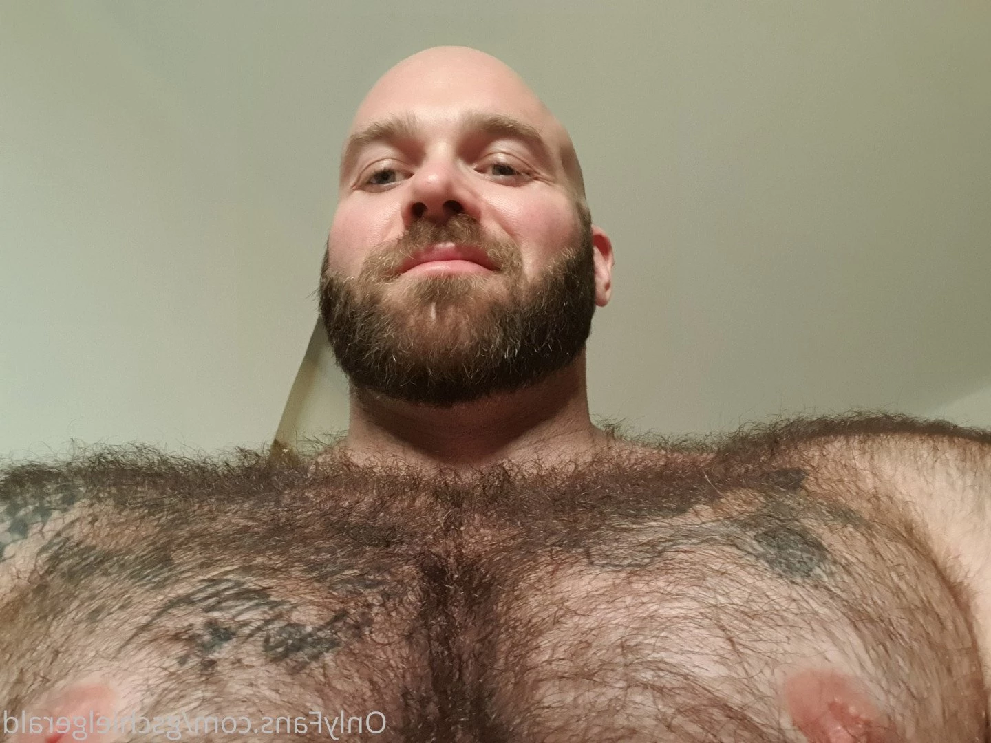 Gschiel Gerald [ hairy_musclebear ] Onlyfans leaked photo 3319935 on Hotleaks.tv