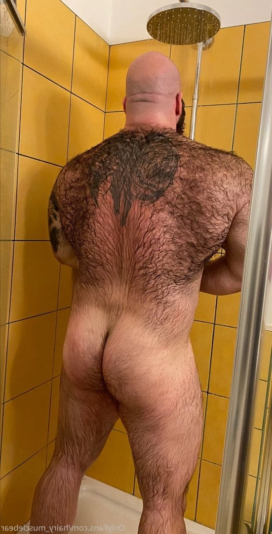 Gschiel Gerald [ hairy_musclebear ] Onlyfans leaked photo 3320028 on Hotleaks.tv