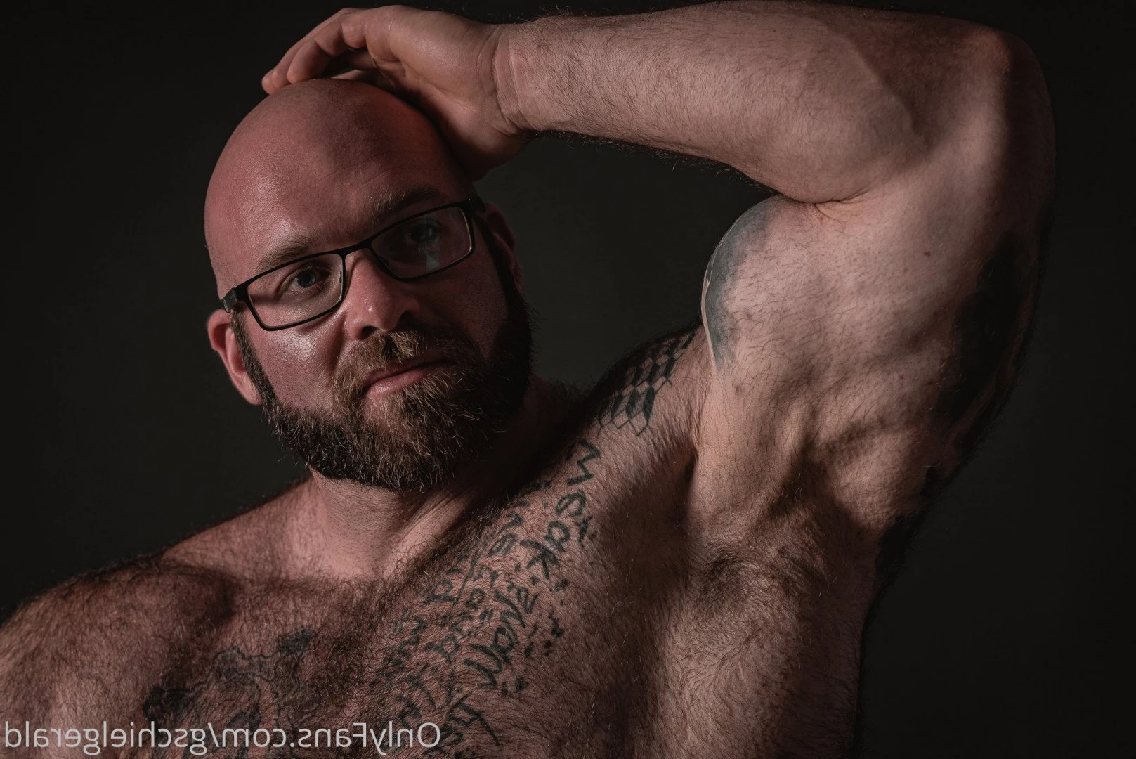 Gschiel Gerald [ hairy_musclebear ] Onlyfans leaked photo 3320546 on Hotleaks.tv