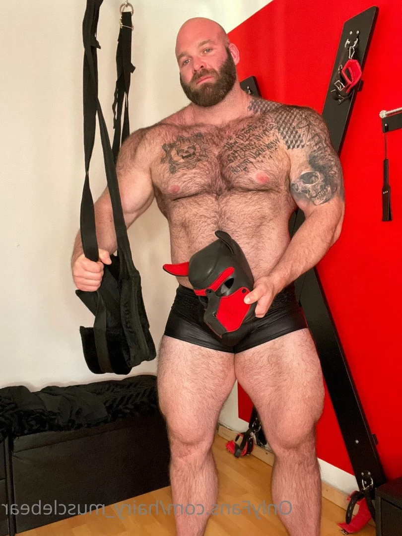 Gschiel Gerald [ hairy_musclebear ] Onlyfans leaked photo 3320888 on Hotleaks.tv