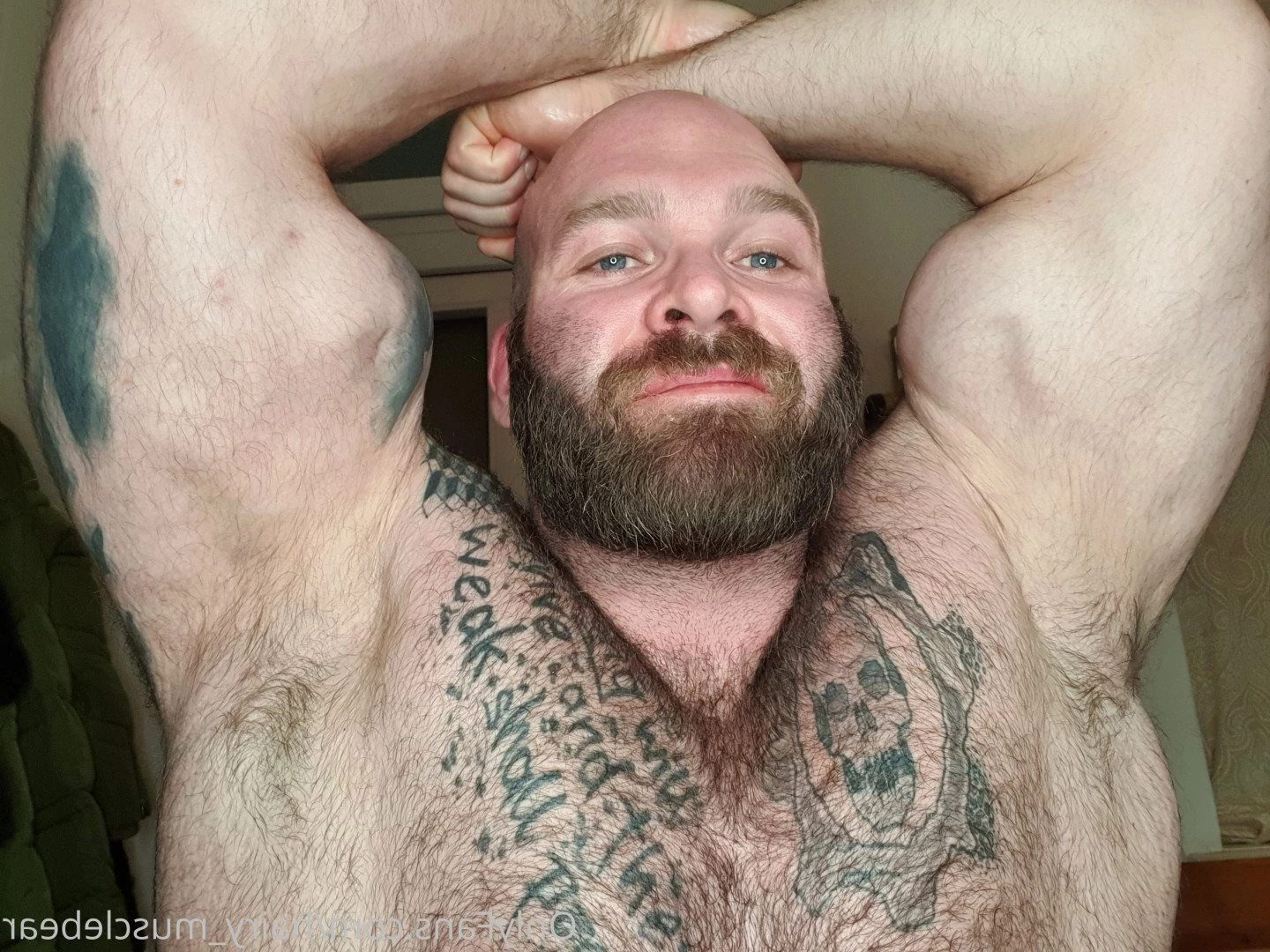 Gschiel Gerald [ hairy_musclebear ] Onlyfans leaked photo 3320911 on Hotleaks.tv