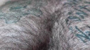 Gschiel Gerald [ hairy_musclebear ] Onlyfans leaked video 3411260 on Hotleaks.tv