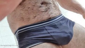 Gschiel Gerald [ hairy_musclebear ] Onlyfans leaked video 3411299 on Hotleaks.tv