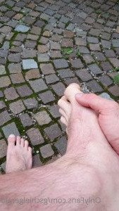 3411893