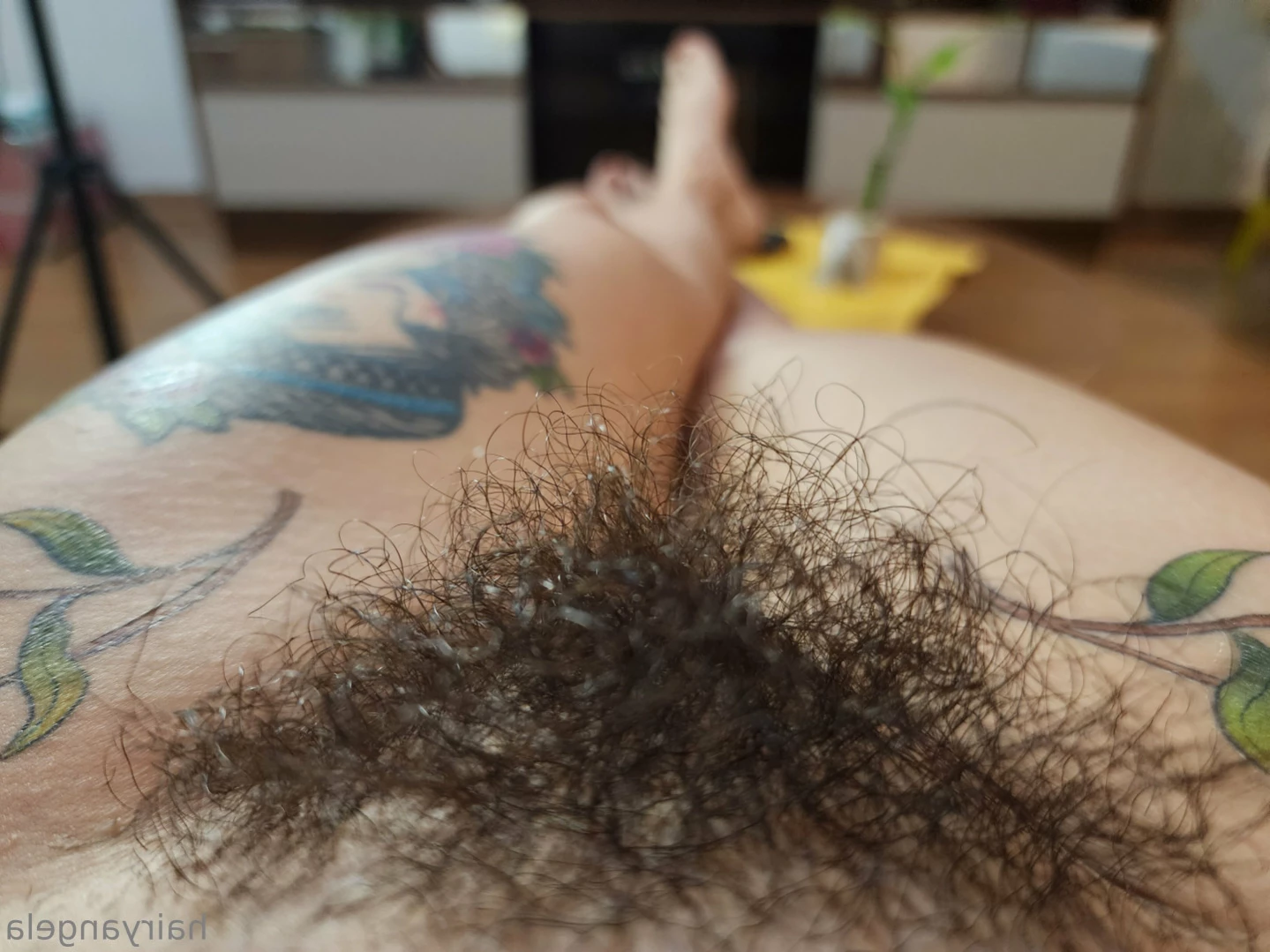 Angela 🌿 [ hairyangela ] Onlyfans leaked photo 14541707 on Hotleaks.tv