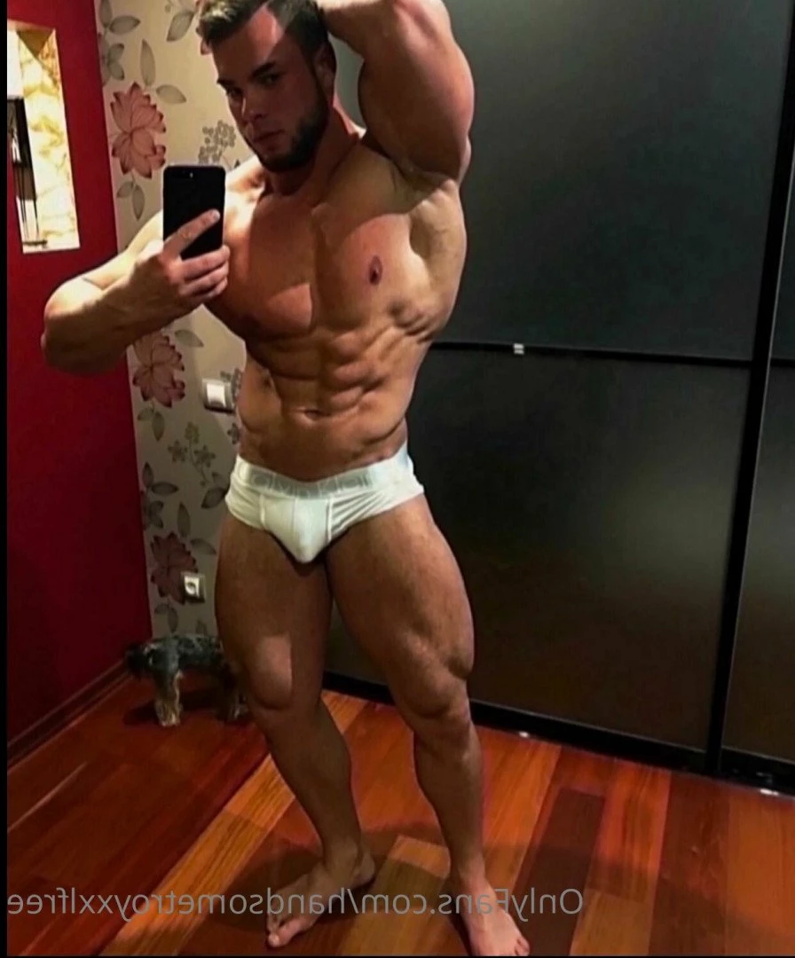 handsometroyxxlfree Onlyfans leaked photo 3280101 on Hotleaks.tv