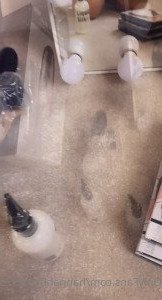Hannah Brooks [ hannahbrooks25 ] Onlyfans leaked video 3414664 on Hotleaks.tv