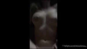 18308337