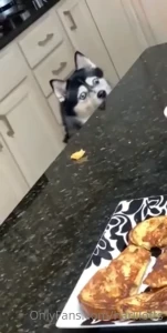 11905876