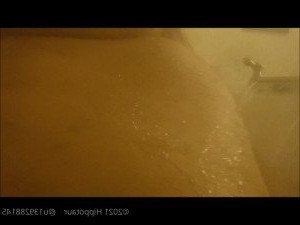 hippotaur Onlyfans leaked video 3447058 on Hotleaks.tv