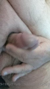 hippotaur Onlyfans leaked video 3447071 on Hotleaks.tv
