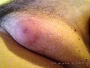 hippotaur Onlyfans leaked video 4897684 on Hotleaks.tv