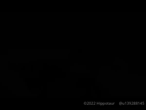 hippotaur Onlyfans leaked video 4897713 on Hotleaks.tv