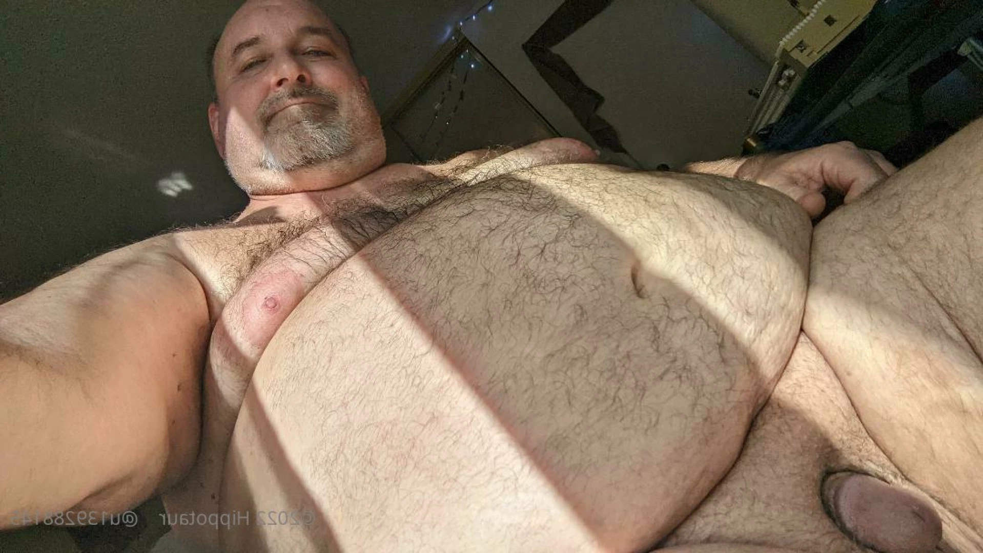 hippotaur Onlyfans leaked photo 6311177 on Hotleaks.tv