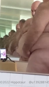 15112623
