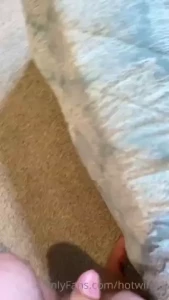 18307307