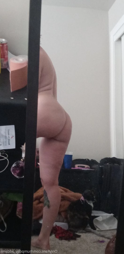 Humpday addams [ humpday_addams ] Onlyfans leaked photo 3353600 on Hotleaks.tv