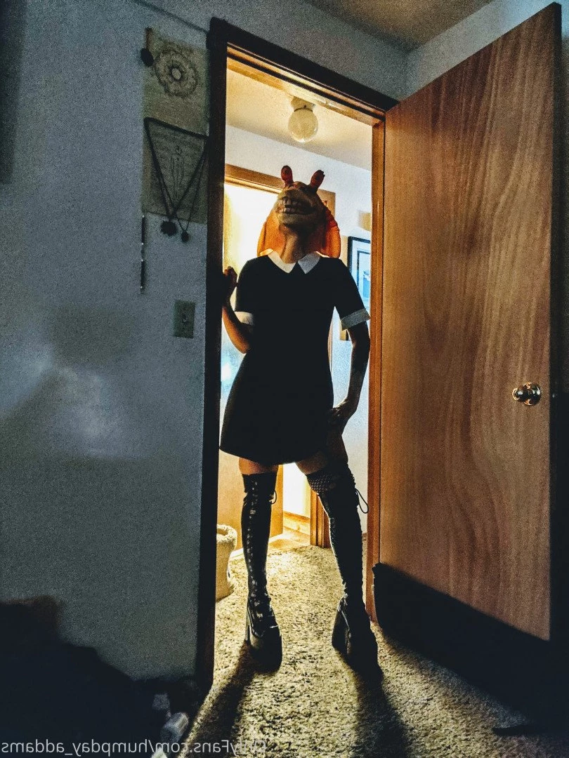 Humpday addams [ humpday_addams ] Onlyfans leaked photo 3357556 on Hotleaks.tv