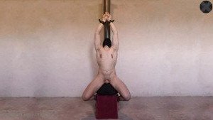 Institution X [ institutionx ] Onlyfans leaked video 3477809 on Hotleaks.tv