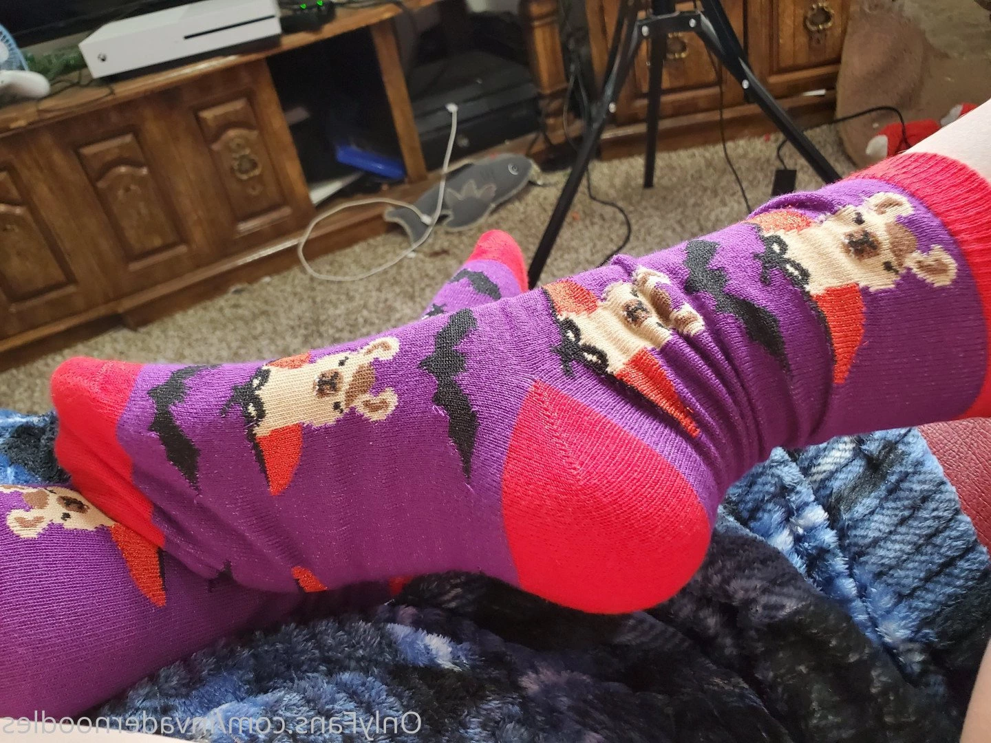 🌸🎀 Princess Noodles 🍜 [ invadernoodles ] Onlyfans leaked photo 4347351 on Hotleaks.tv