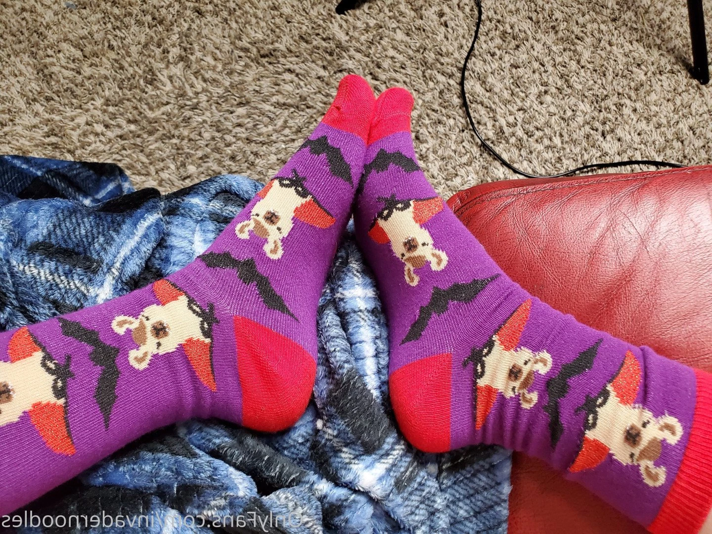 🌸🎀 Princess Noodles 🍜 [ invadernoodles ] Onlyfans leaked photo 4533106 on Hotleaks.tv
