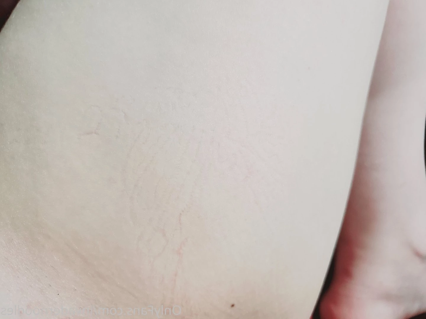 🌸🎀 Princess Noodles 🍜 [ invadernoodles ] Onlyfans leaked photo 4540989 on Hotleaks.tv
