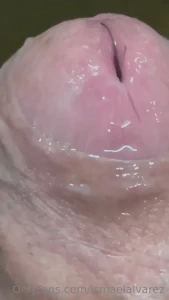 10626070