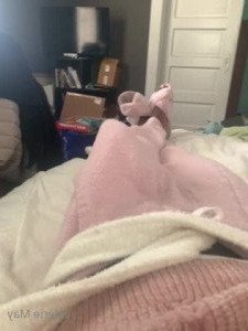 3481627