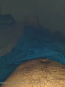 3337916