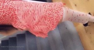 Jasmine Lily 0.81% [ jasminelilyrose_stocking ] Onlyfans leaked video 3493882 on Hotleaks.tv