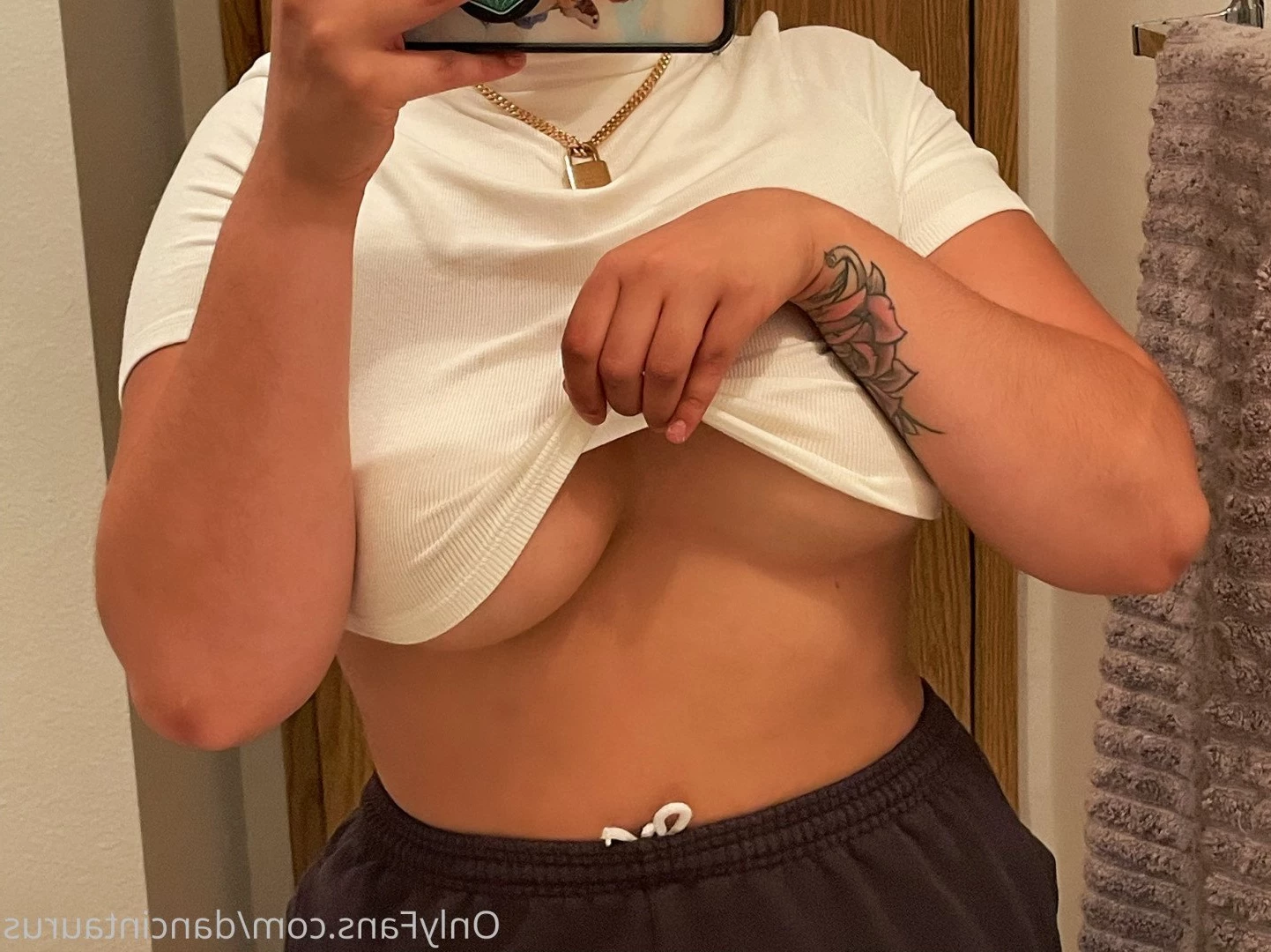 jordyn [ dancintaurus ] Onlyfans leaked photo 298493 on Hotleaks.tv