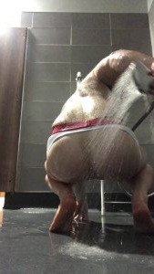 Jay [ jjc88 ] Onlyfans leaked video 3796364 on Hotleaks.tv