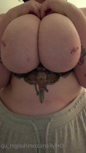 3881520