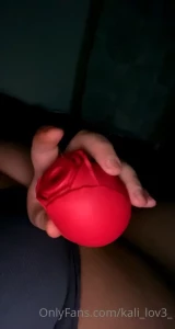 15694498