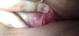 3953513