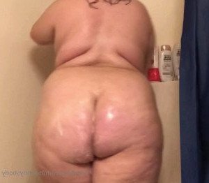3953661